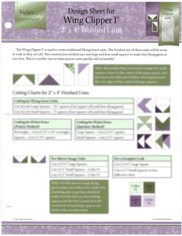 Tucker University Wing Clipper Design Sheet (Class 1-301)